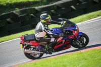 brands-hatch-photographs;brands-no-limits-trackday;cadwell-trackday-photographs;enduro-digital-images;event-digital-images;eventdigitalimages;no-limits-trackdays;peter-wileman-photography;racing-digital-images;trackday-digital-images;trackday-photos